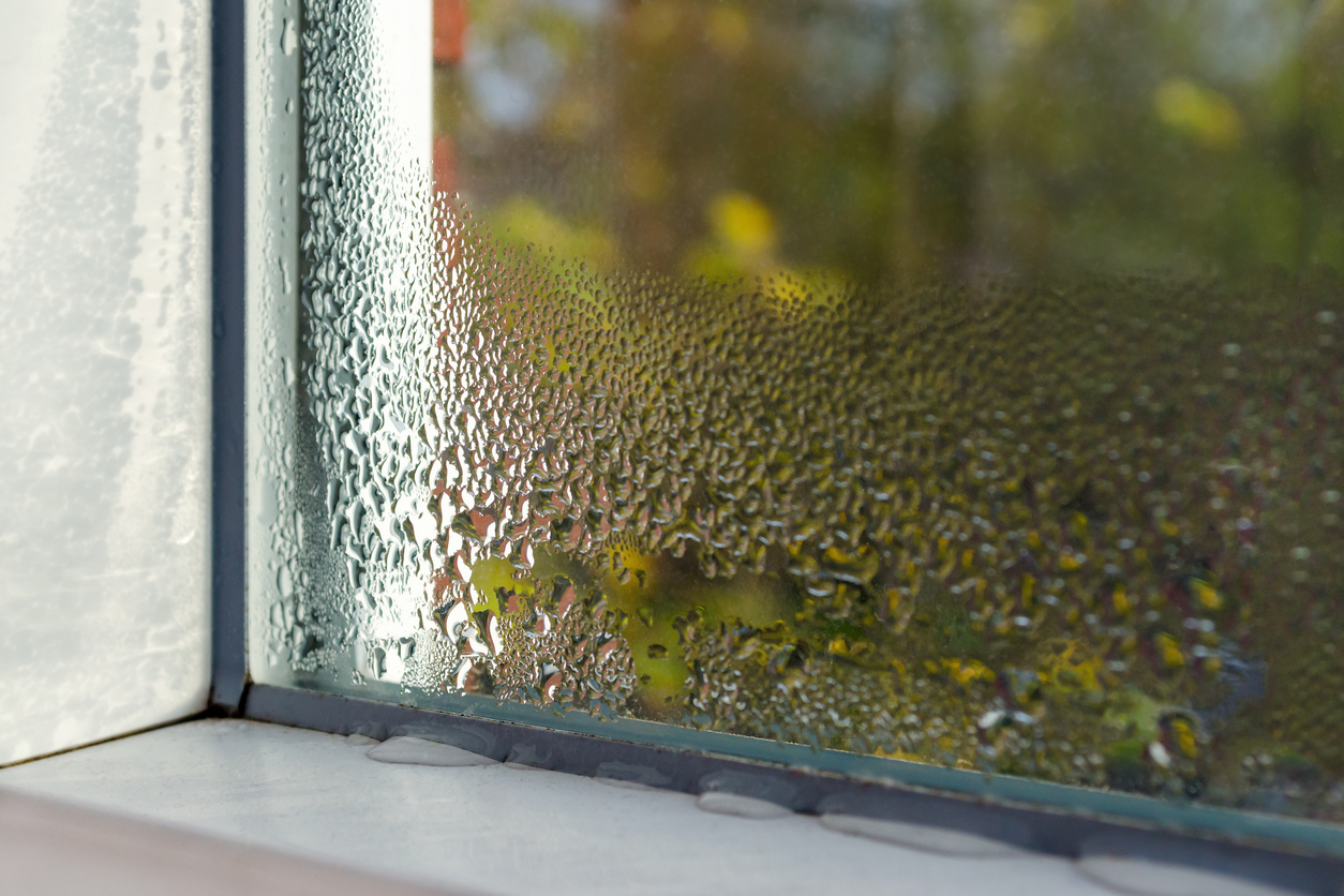 Water Droplets on Window